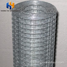 10x10 Bird Avioty Weld Wire Mesh Cage